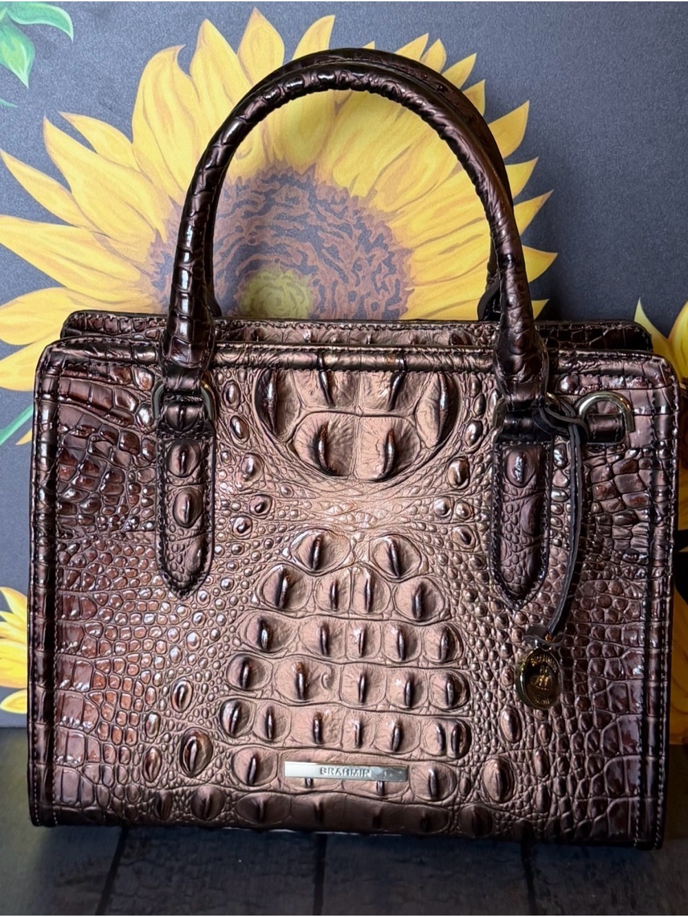 NWT Brahmin Cami Melbourne Leather Satchel - Ganache Brown Ombré Shine